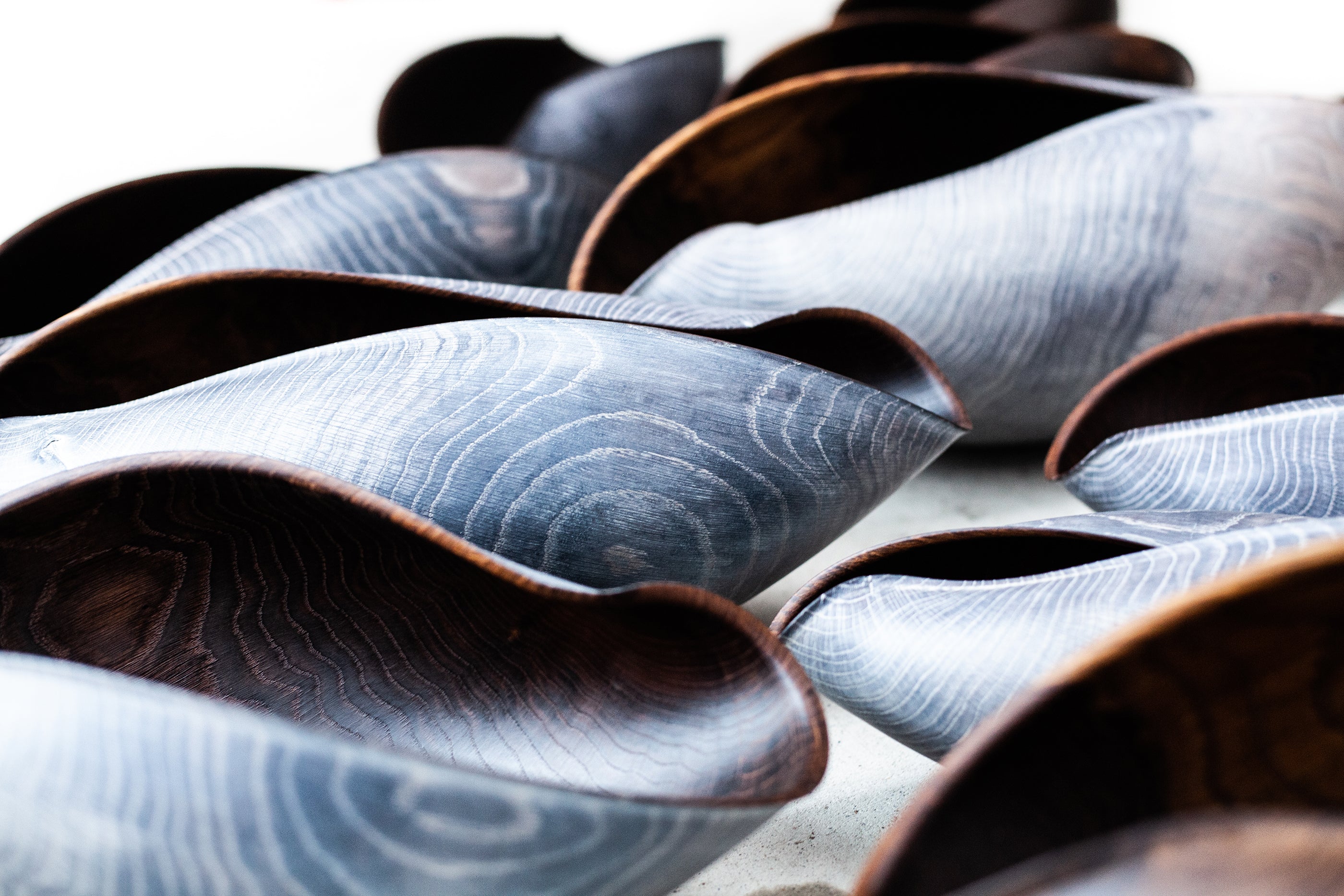 Seashell Bowls