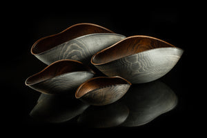 Groupe d'objets de coquilles de moules